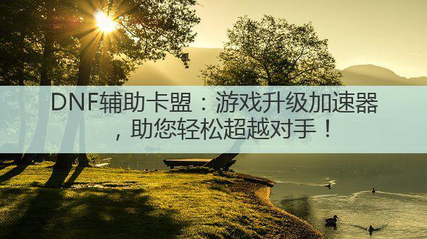 DNF辅助卡盟:游戏升级加速器,助您轻松超越对手!