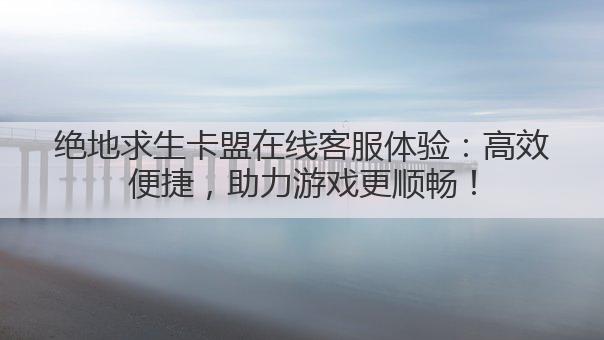 绝地求生卡盟在线客服体验：高效便捷，助力游戏更顺畅！