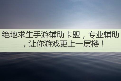 绝地求生手游辅助卡盟，专业辅助，让你游戏更上一层楼！