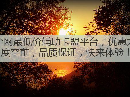全网最低价辅助卡盟平台,优惠力度空前,品质保证,快来体验!
