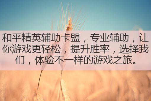 和平精英辅助卡盟，专业辅助，让你游戏更轻松，提升胜率，选择我们，体验不一样的游戏之旅。
