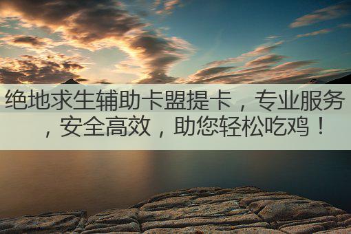 绝地求生辅助卡盟提卡,专业服务,安全高效,助您轻松吃鸡!