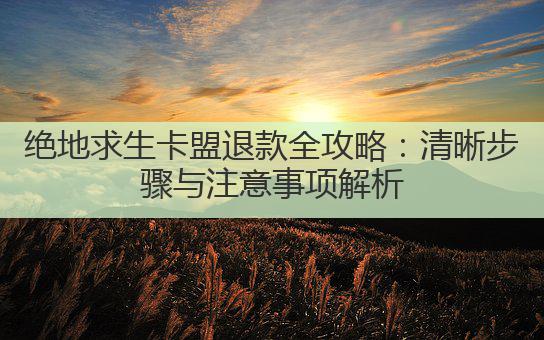 绝地求生卡盟退款全攻略:清晰步骤与注意事项解析