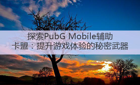 探索PubG Mobile辅助卡盟：提升游戏体验的秘密武器