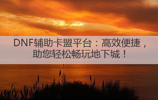 DNF辅助卡盟平台:高效便捷,助您轻松畅玩地下城!
