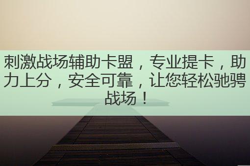 刺激战场辅助卡盟,专业提卡,助力上分,安全可靠,让您轻松驰骋战场!