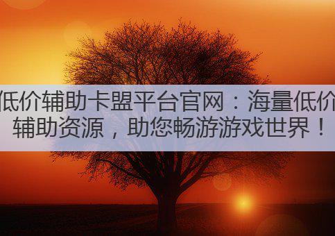 低价辅助卡盟平台官网:海量低价辅助资源,助您畅游游戏世界!