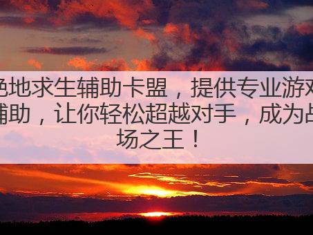 绝地求生辅助卡盟,提供专业游戏辅助,让你轻松超越对手,成为战场之王!