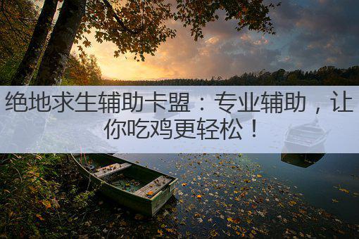 绝地求生辅助卡盟:专业辅助,让你吃鸡更轻松!