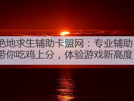 绝地求生辅助卡盟网:专业辅助,带你吃鸡上分,体验游戏新高度!