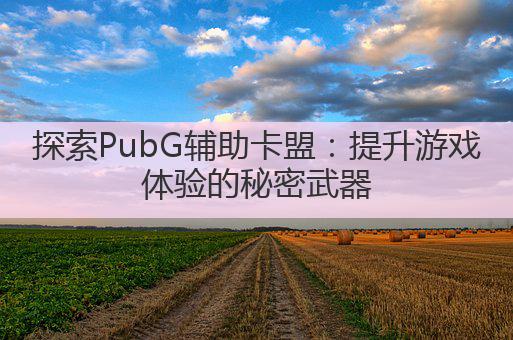 探索PubG辅助卡盟:提升游戏体验的秘密武器