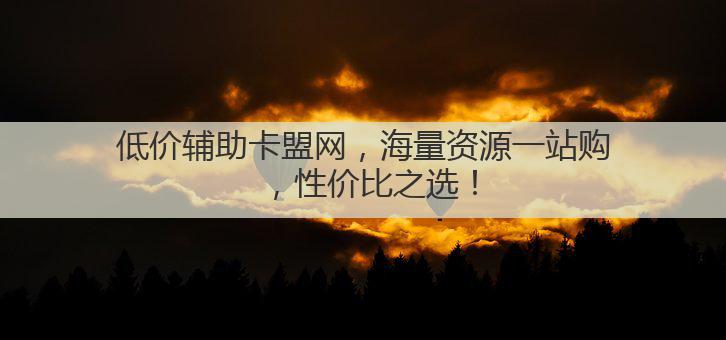低价辅助卡盟网,海量资源一站购,性价比之选!