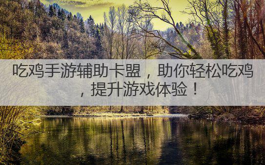 吃鸡手游辅助卡盟,助你轻松吃鸡,提升游戏体验!