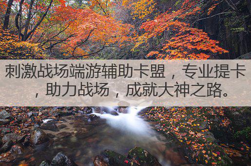 刺激战场端游辅助卡盟,专业提卡,助力战场,成就大神之路。