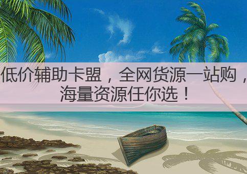 低价辅助卡盟,全网货源一站购,海量资源任你选!