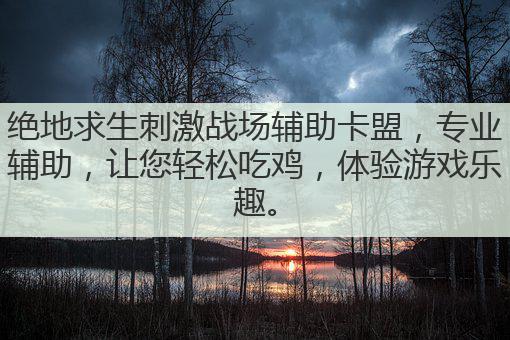 绝地求生刺激战场辅助卡盟,专业辅助,让您轻松吃鸡,体验游戏乐趣。