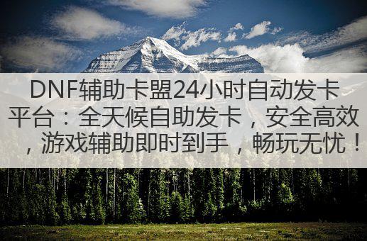 DNF辅助卡盟24小时自动发卡平台：全天候自助发卡，安全高效，游戏辅助即时到手，畅玩无忧！