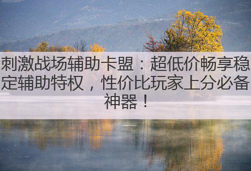 刺激战场辅助卡盟：超低价畅享稳定辅助特权，性价比玩家上分必备神器！