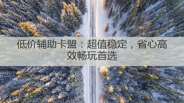低价辅助卡盟：超值稳定，省心高效畅玩首选