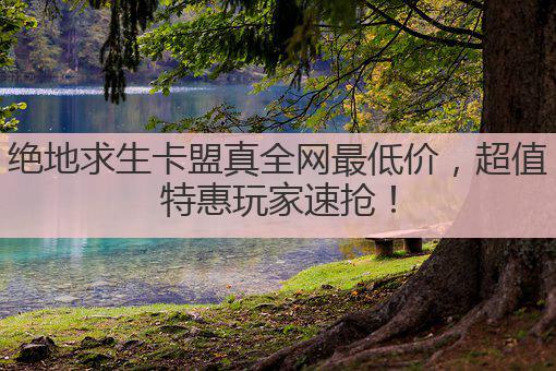 绝地求生卡盟真全网最低价，超值特惠玩家速抢！