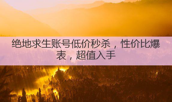 绝地求生账号低价秒杀，性价比爆表，超值入手