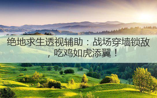 绝地求生透视辅助：战场穿墙锁敌，吃鸡如虎添翼！