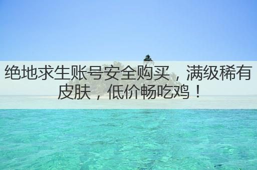 绝地求生账号安全购买,满级稀有皮肤,低价畅吃鸡!