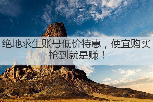 绝地求生账号低价特惠,便宜购买抢到就是赚!