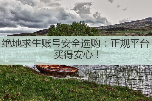 绝地求生账号安全选购：正规平台买得安心！