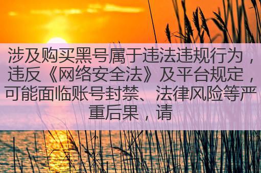 涉及购买黑号属于违法违规行为,违反《网络安全法》及平台规定,可能面临账号封禁、法律风险等严重后果,请务必通过正规渠道获取游戏账号,共同维护健康有序的网络环境。