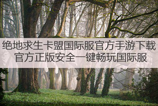 绝地求生卡盟国际服官方手游下载 官方正版安全一键畅玩国际服