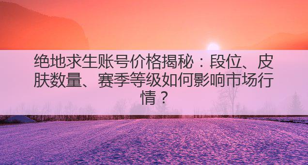 绝地求生账号价格揭秘：段位、皮肤数量、赛季等级如何影响市场行情？
