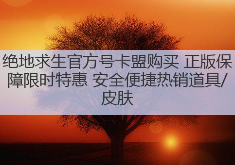 绝地求生官方号卡盟购买 正版保障限时特惠 安全便捷热销道具/皮肤