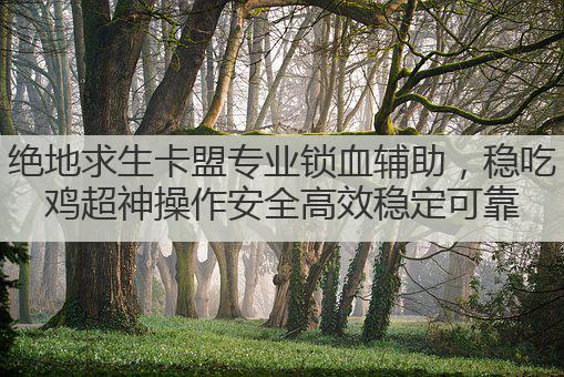 绝地求生卡盟专业锁血辅助,稳吃鸡超神操作安全高效稳定可靠