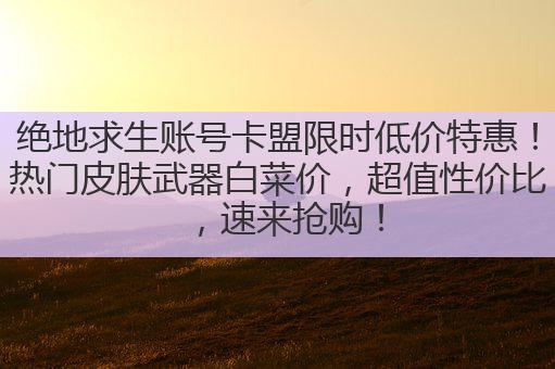 绝地求生账号卡盟限时低价特惠!热门皮肤武器白菜价,超值性价比,速来抢购!