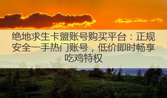 绝地求生卡盟账号购买平台:正规安全一手热门账号,低价即时畅享吃鸡特权