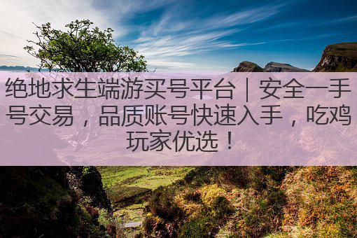 绝地求生端游买号平台|安全一手号交易,品质账号快速入手,吃鸡玩家优选!
