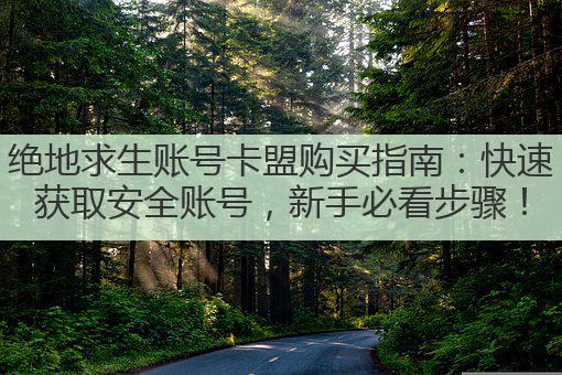 绝地求生账号卡盟购买指南:快速获取安全账号,新手必看步骤!