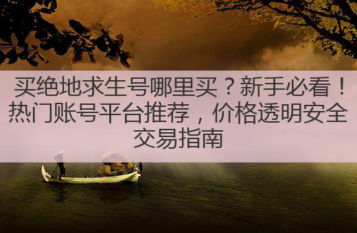 买绝地求生号哪里买?新手必看!热门账号平台推荐,价格透明安全交易指南
