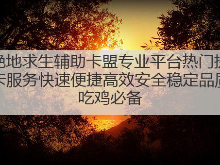 绝地求生辅助卡盟专业平台热门提卡服务快速便捷高效安全稳定品质吃鸡必备