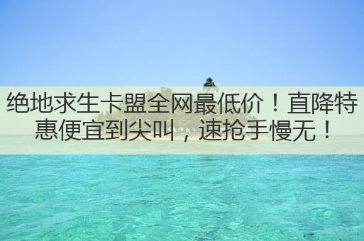 绝地求生卡盟全网最低价!直降特惠便宜到尖叫,速抢手慢无!