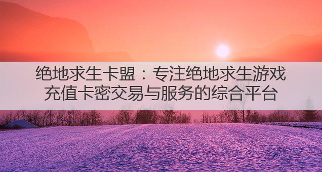 绝地求生卡盟：专注绝地求生游戏充值卡密交易与服务的综合平台