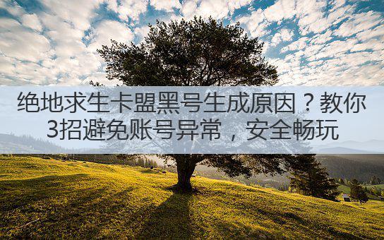 绝地求生卡盟黑号生成原因?教你3招避免账号异常,安全畅玩