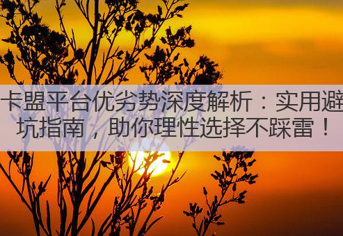 卡盟平台优劣势深度解析:实用避坑指南,助你理性选择不踩雷!