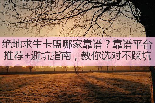 绝地求生卡盟哪家靠谱?靠谱平台推荐+避坑指南,教你选对不踩坑