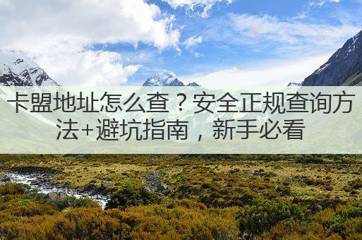 卡盟地址怎么查?安全正规查询方法+避坑指南,新手必看