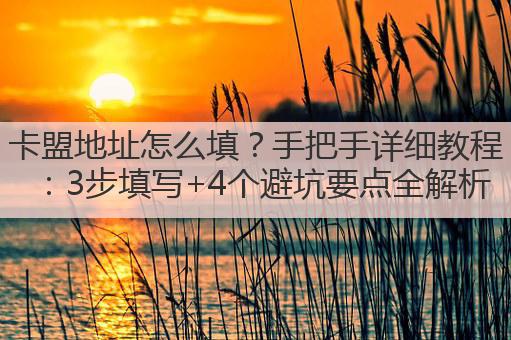 卡盟地址怎么填?手把手详细教程:3步填写+4个避坑要点全解析
