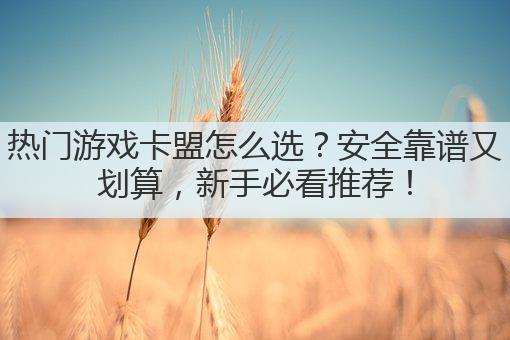 热门游戏卡盟怎么选?安全靠谱又划算,新手必看推荐!