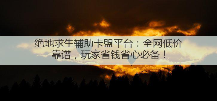 绝地求生辅助卡盟平台:全网低价靠谱,玩家省钱省心必备!