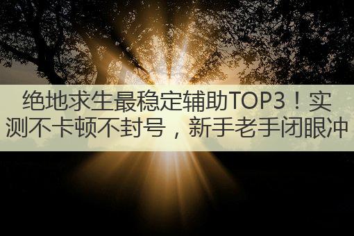 绝地求生最稳定辅助TOP3！实测不卡顿不封号，新手老手闭眼冲